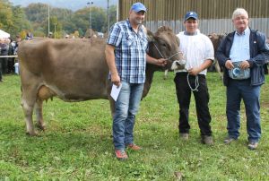 151009ViehschauSarnen 021